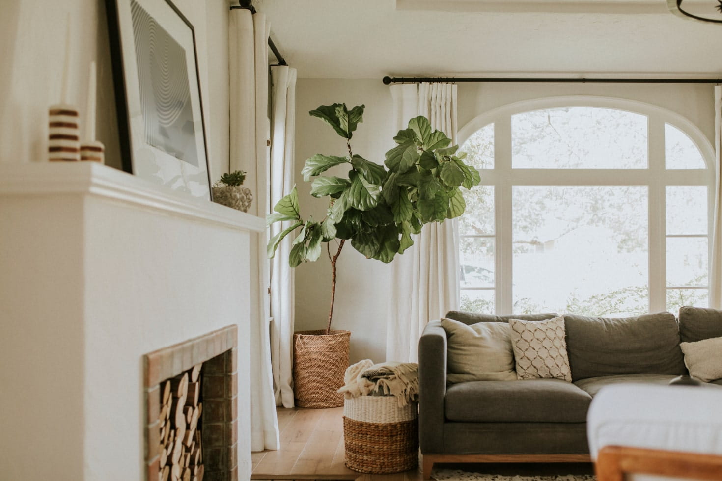 Living room with a fiddle leaf fig, gray sofa, and fireplace
